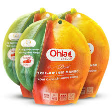 Dried Tree-ripened mango 200g  (4 bags)